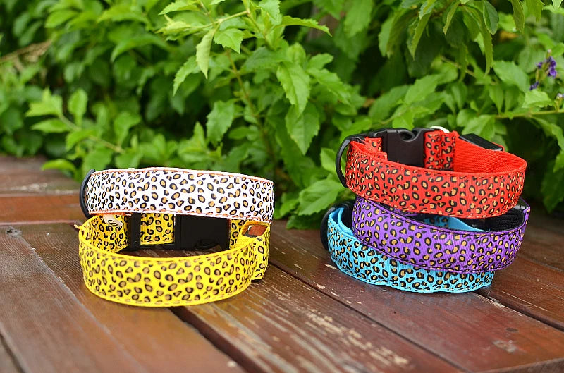 Collier chien lumineux-Léopard LED