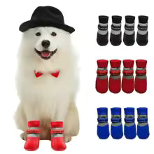 Chaussures pour Chien | Imperméables & Antidérapantes