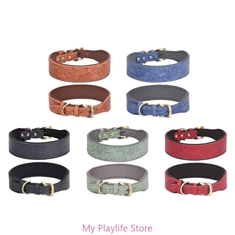 Collier chien cuir | Élégance Confort