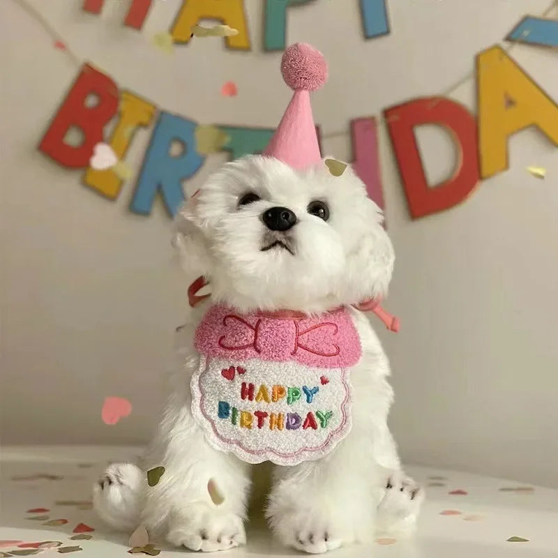 Bandana+ Chapeau Festif pour Chien | Anniversaire Mémorable
