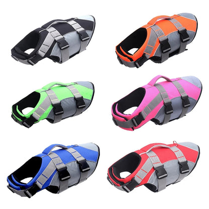 Gilet de sauvetage pour chien- Buoyancy