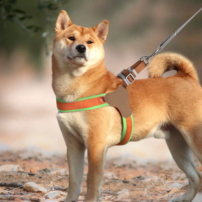 Harnais chien anti traction- Didog Couleur Vive