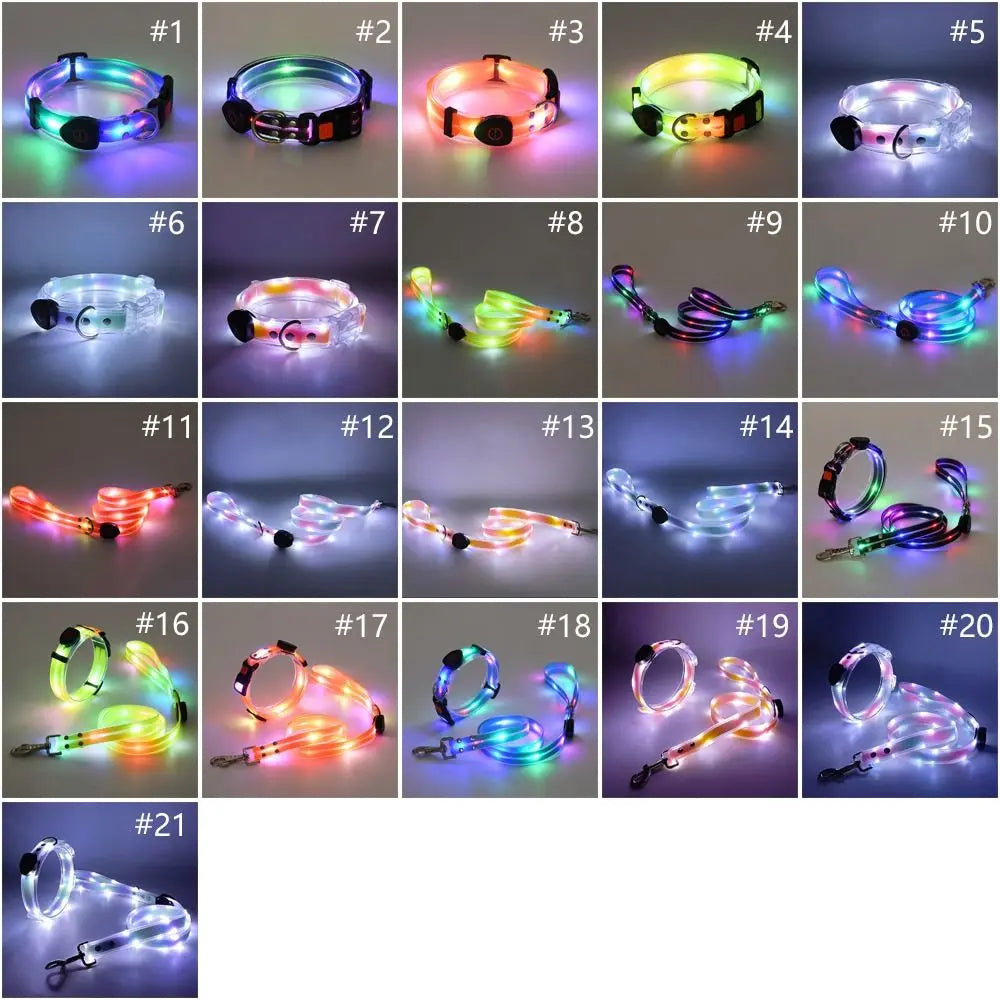 Collier lumineux pour chien | NightGuard
