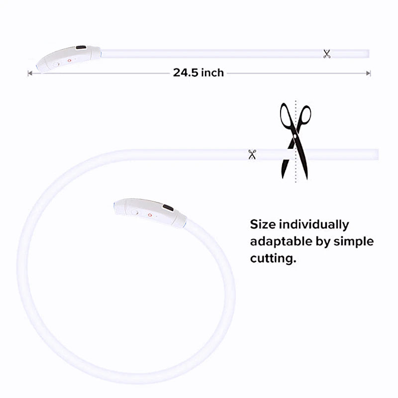 Collier lumineux chien- COOYOMOO