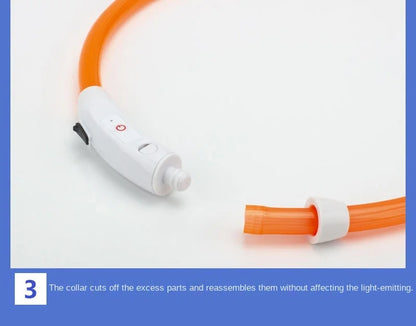 Collier lumineux chien- COOYOMOO