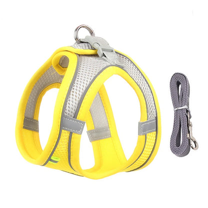 Harnais chien- CDDMPET Set Outdoor