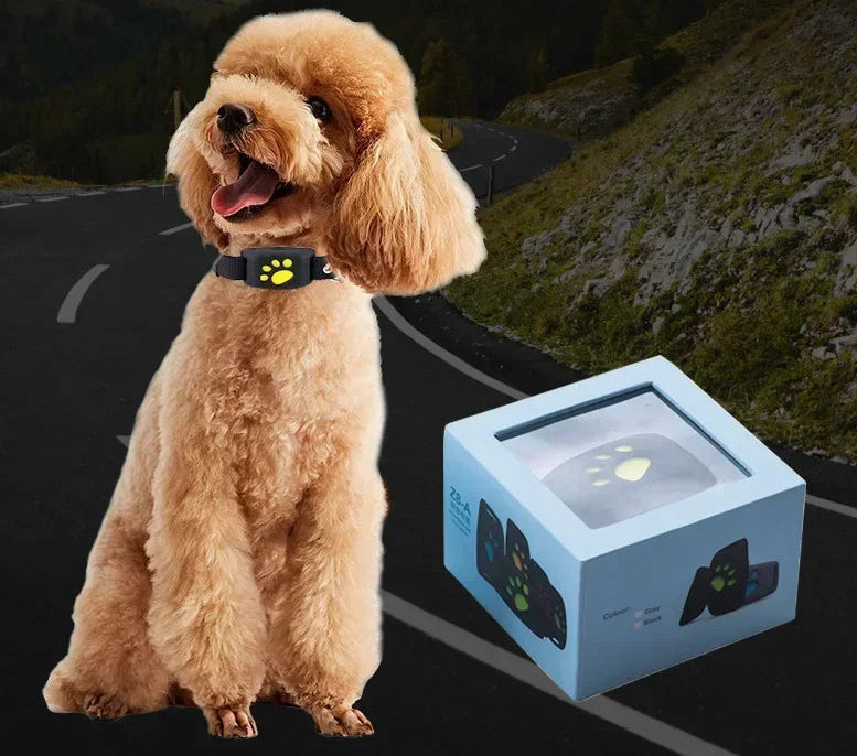 Collier GPS pour chien- Anti-Loss Real-Time Tracking