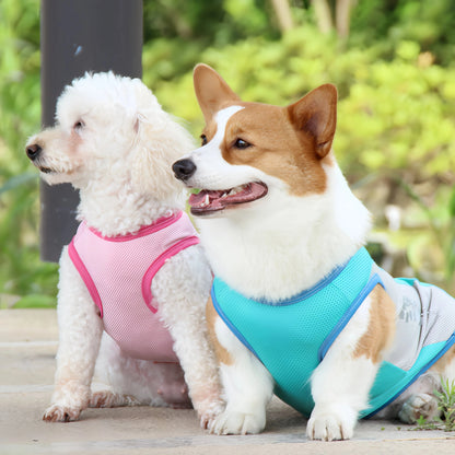 veste chien | Rafraîchissante Anti-UV