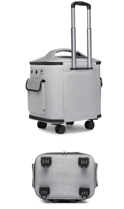 Caisse de transport chien- Suitcase Portable Travel