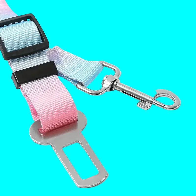 Laisse pour chien- Absorption choc pour voiture
