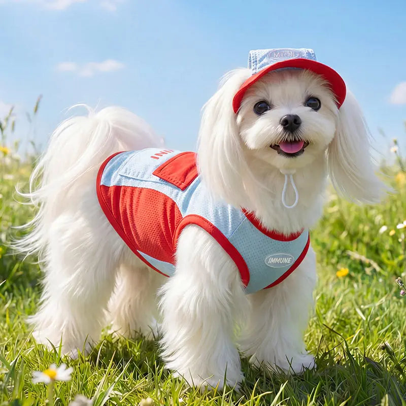 Vest pour chien | DUO Protection UV