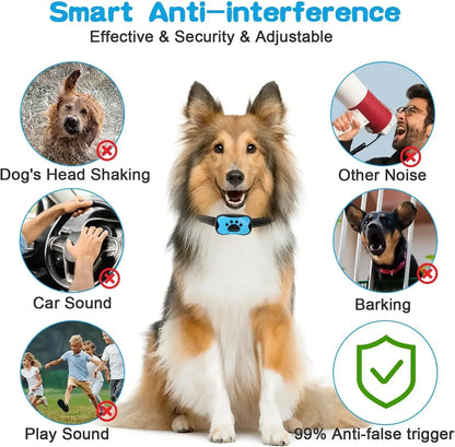 Collier de dressage pour chien- Vibration stop aboiement