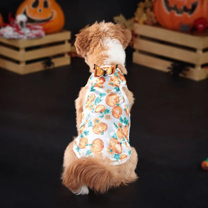 Robe pour chien- Fantaisie Halloween (14 modèles.)