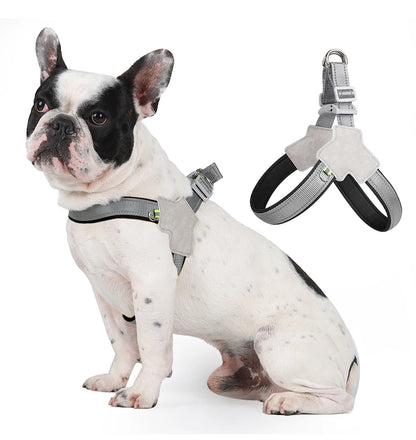 Harnais chien anti traction- Holapet