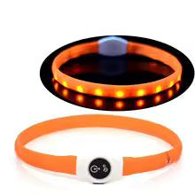 Collier lumineux chien | SafetyNight