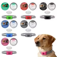 Collier anti puce chien | Naturel aux huiles essentielles