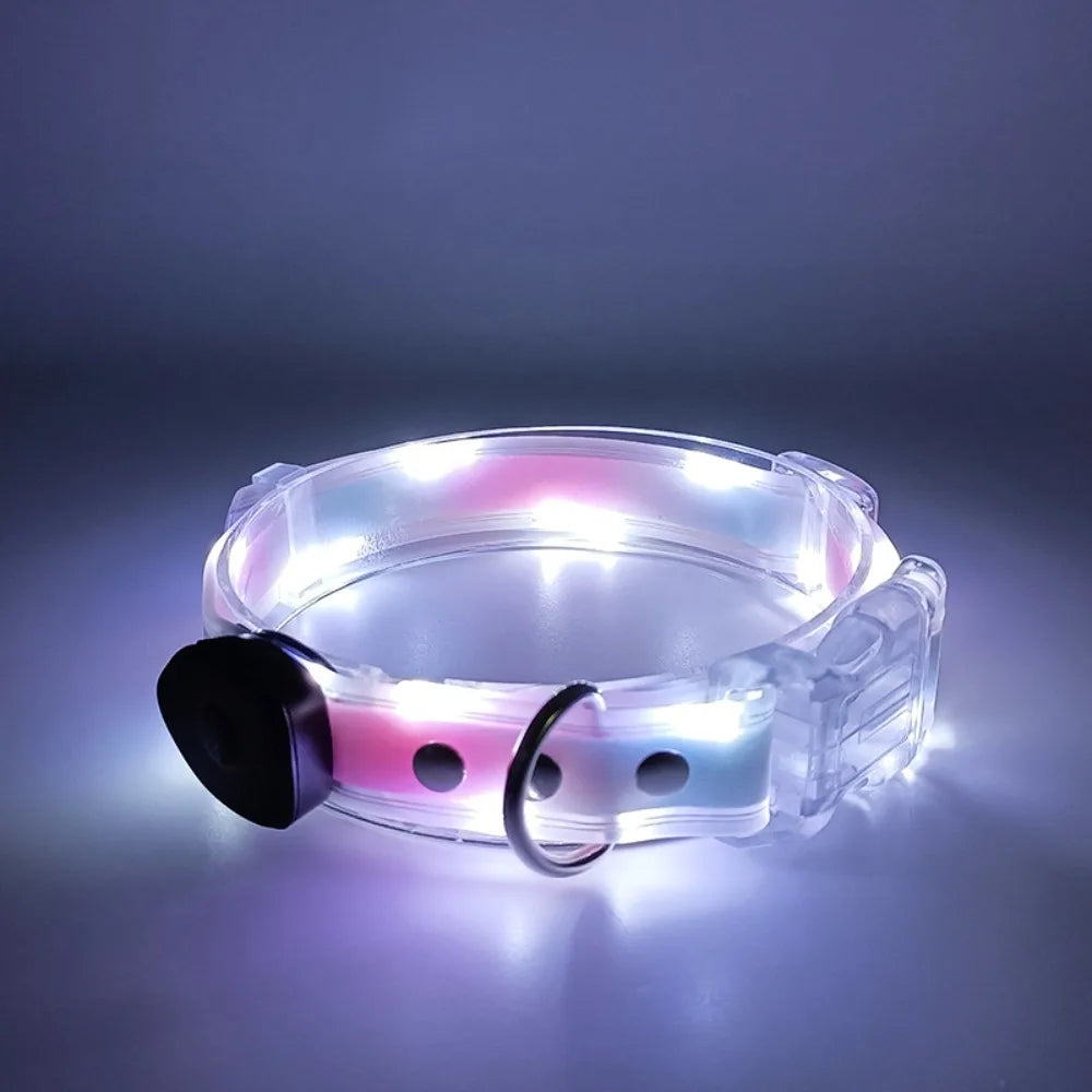 Collier lumineux pour chien | NightGuard