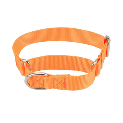 Collier de dressage pour chien- Martingale Plus