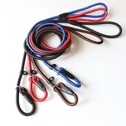 Laisse pour chien- Dog Strap Rope