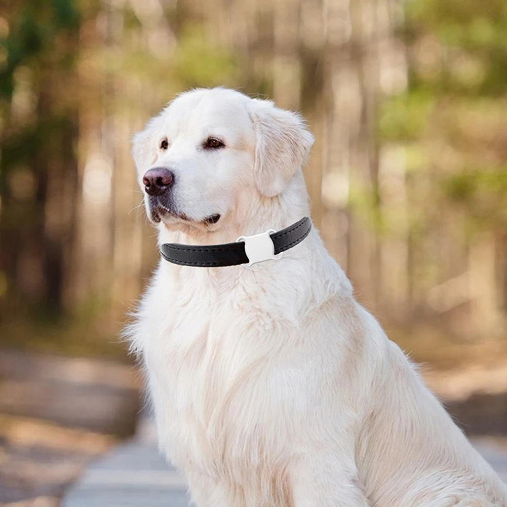 Collier GPS chien - VKTECH GPS Smart