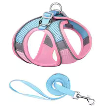 Harnais chiot | Comfort Secure