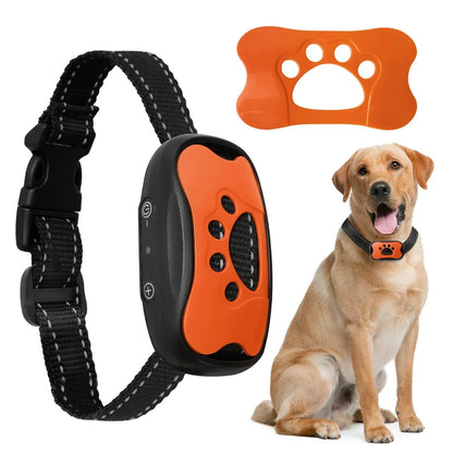 Collier de dressage pour chien- Vibration stop aboiement