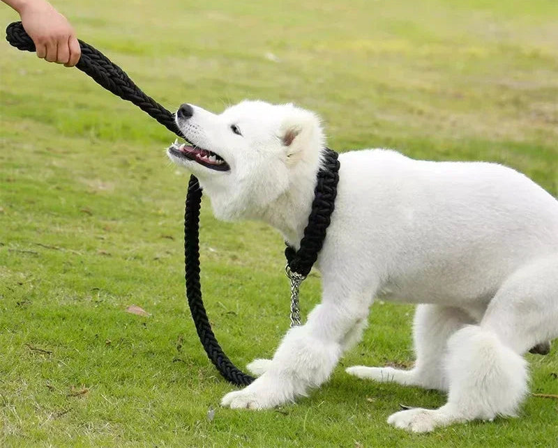 Laisse de chien- HATELI Rope