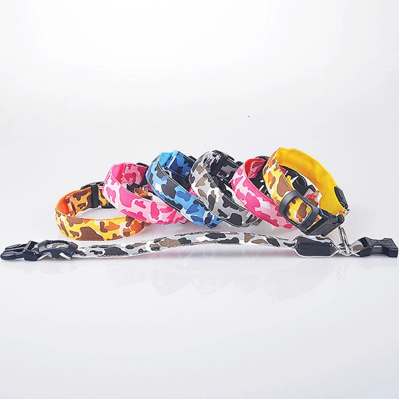Collier chien lumineux-Camouflage LED