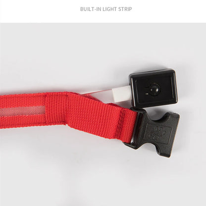 Collier lumineux chien- COOYOMOO