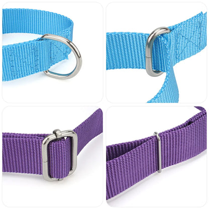 Collier de dressage pour chien- Martingale Plus