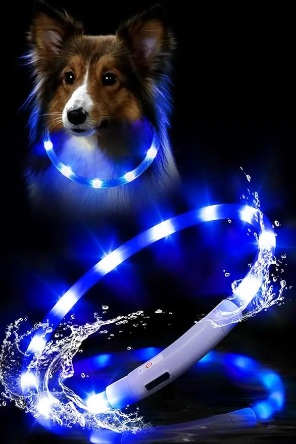 Chien collier lumineux | LED Rechargeable 360°