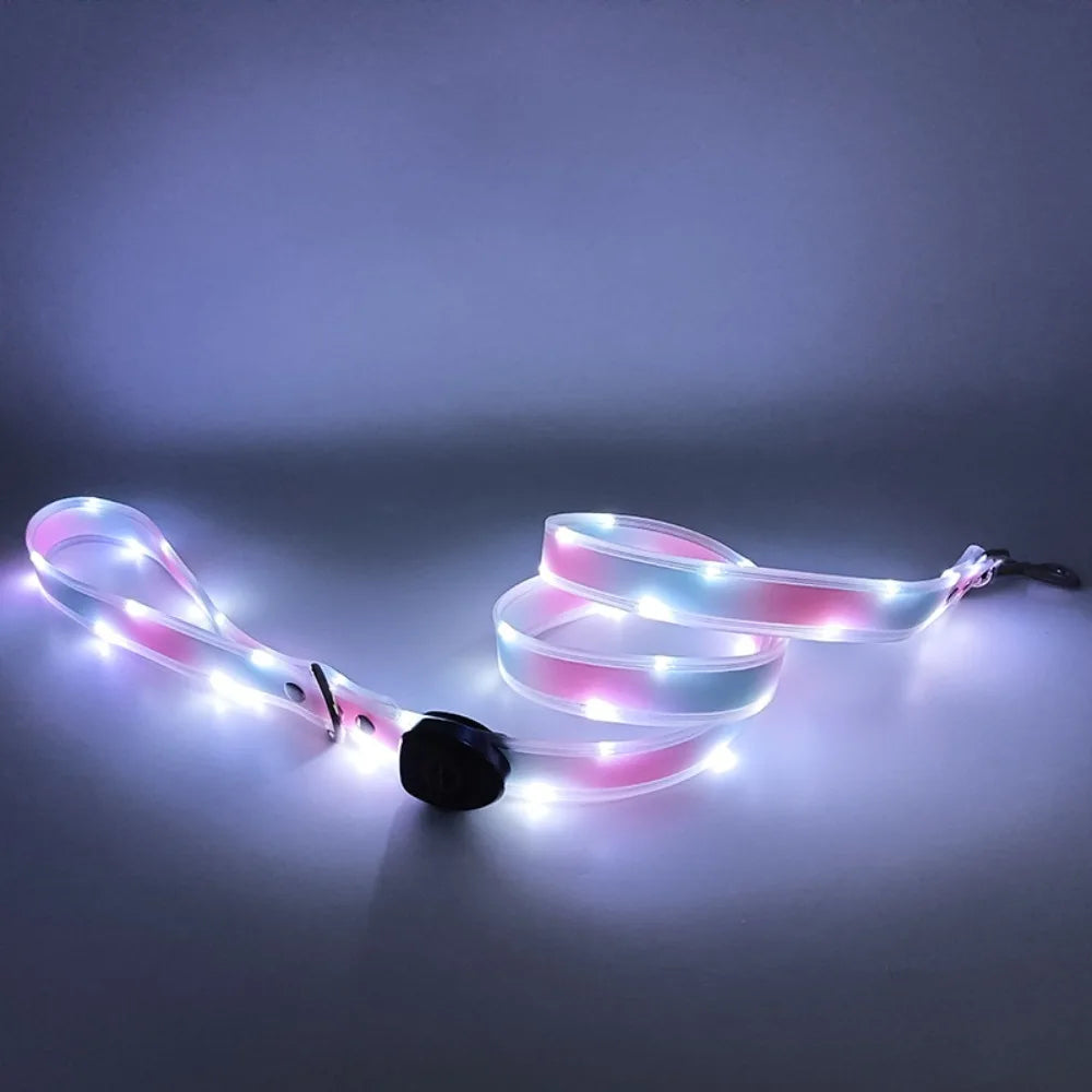 Collier lumineux pour chien | NightGuard