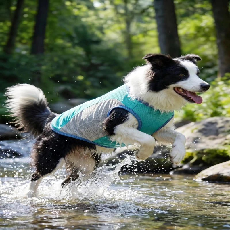 veste chien | Rafraîchissante Anti-UV