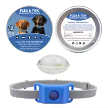 Collier anti puce chien | Naturel aux huiles essentielles