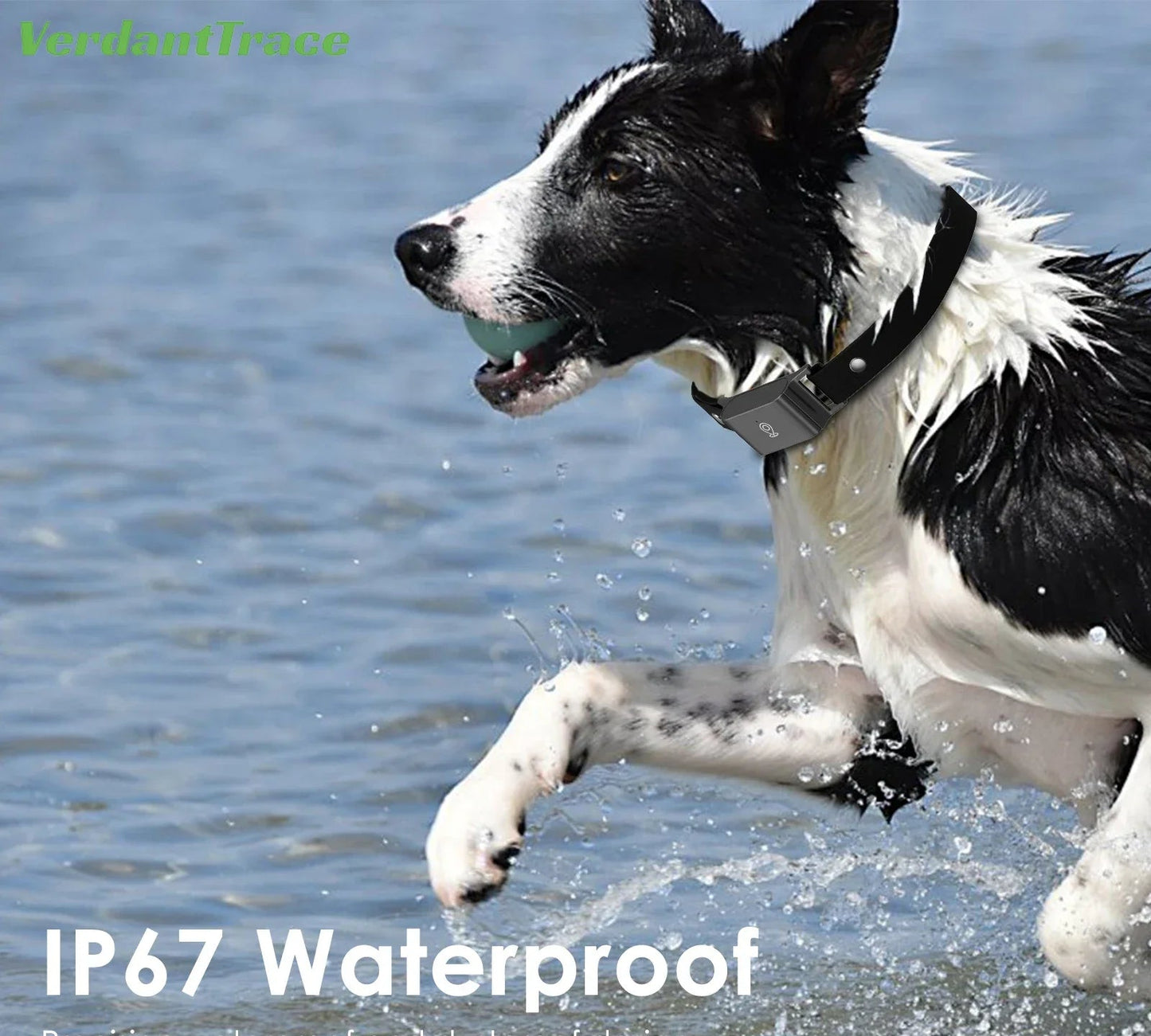 Collier gps chien- IP67 Waterproof 4G GPS