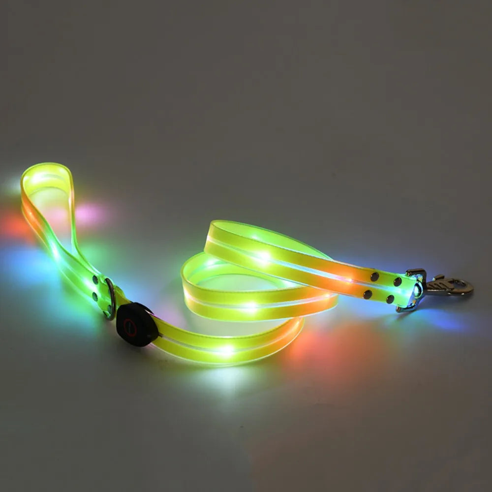 Collier lumineux pour chien | NightGuard
