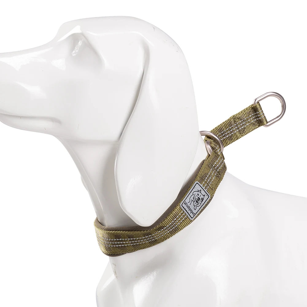 Collier de dressage pour chien- TRUELOVE P-chain