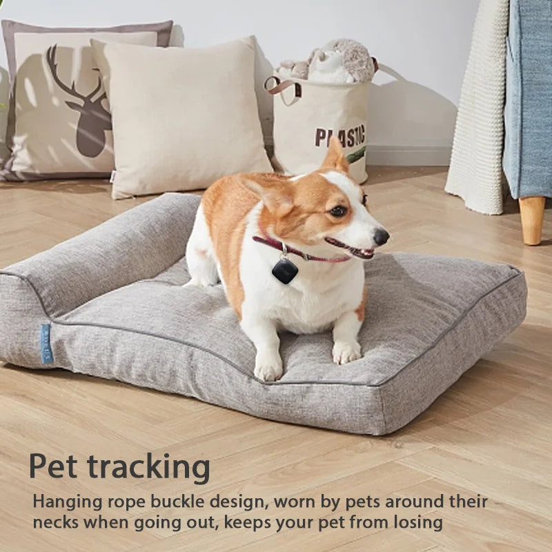 Collier gps chien- GPS Anti Lose  ITag Locator