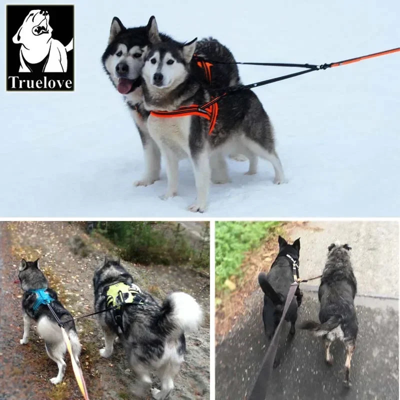 Laisse pour chien- Truelove Reflective Nylon Double Dog Leash