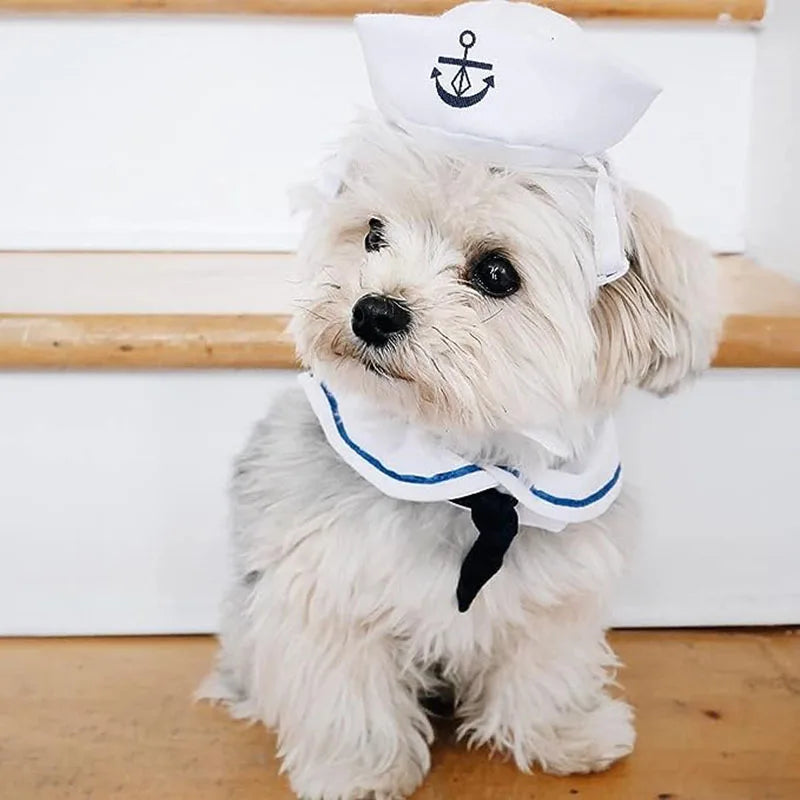 Déguisement pour chien- Matelot