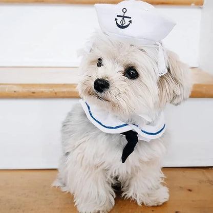 Déguisement pour chien- Matelot