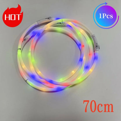 Chien collier lumineux | LED Rechargeable 360°