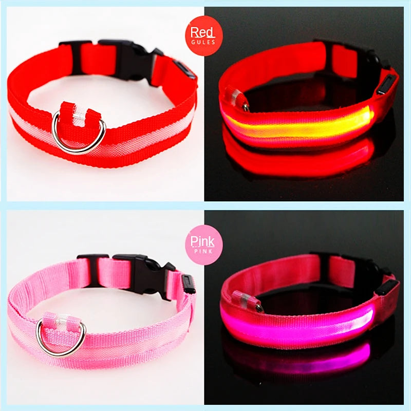 Collier lumineux chien- COOYOMOO