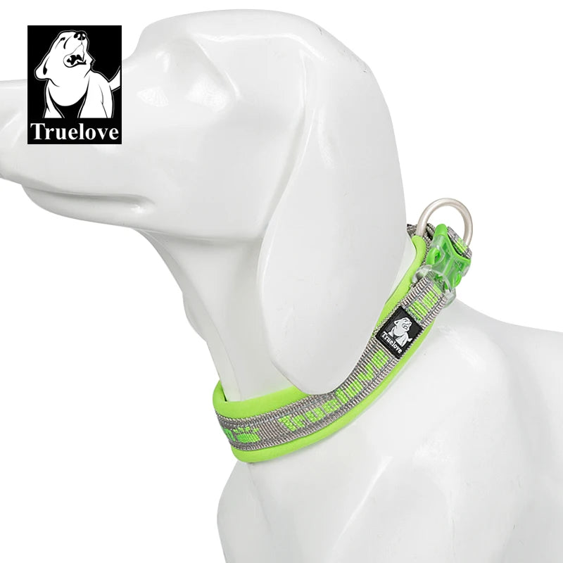 Collier pour chien- TRUELOVE Nylon vibrant