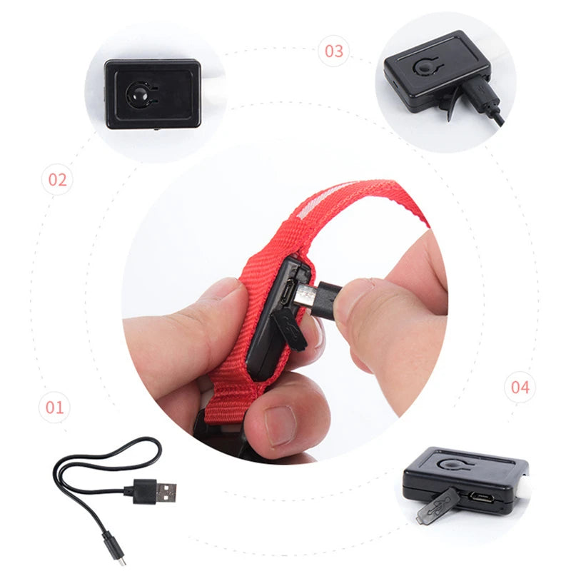 Collier lumineux chien- COOYOMOO