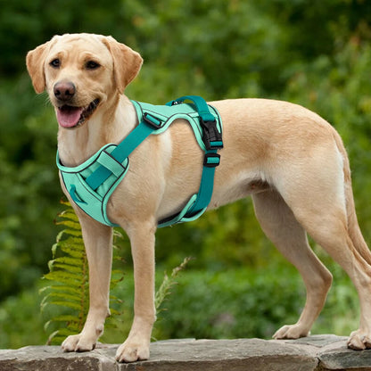 Harnais chien anti traction- Robuste Didog