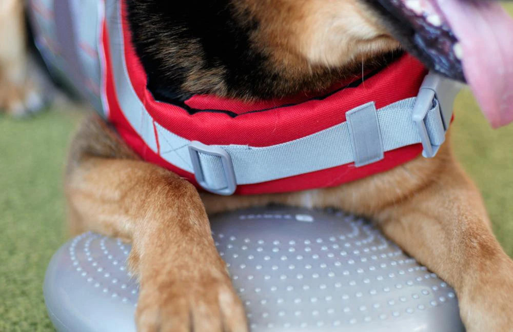 Gilet sauvetage chien-JANPET Dog Life Jacket