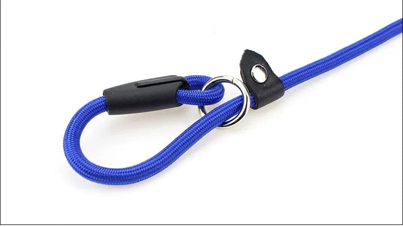 Laisse pour chien- Dog Strap Rope