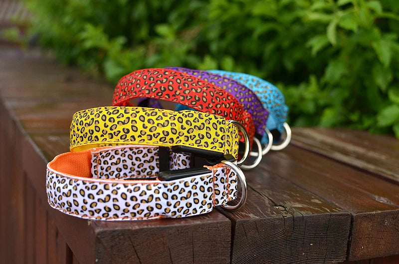 Collier chien lumineux-Léopard LED