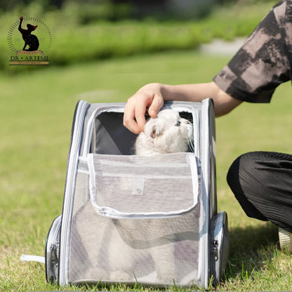Sac a dos pour chien - Cross-border